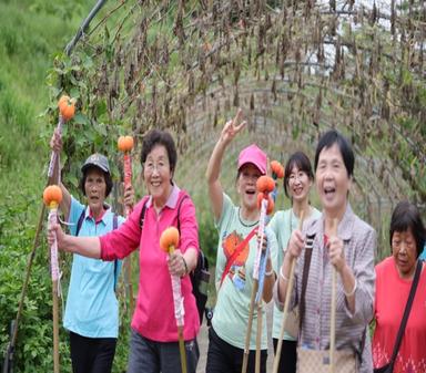 健走杖，出發吧！